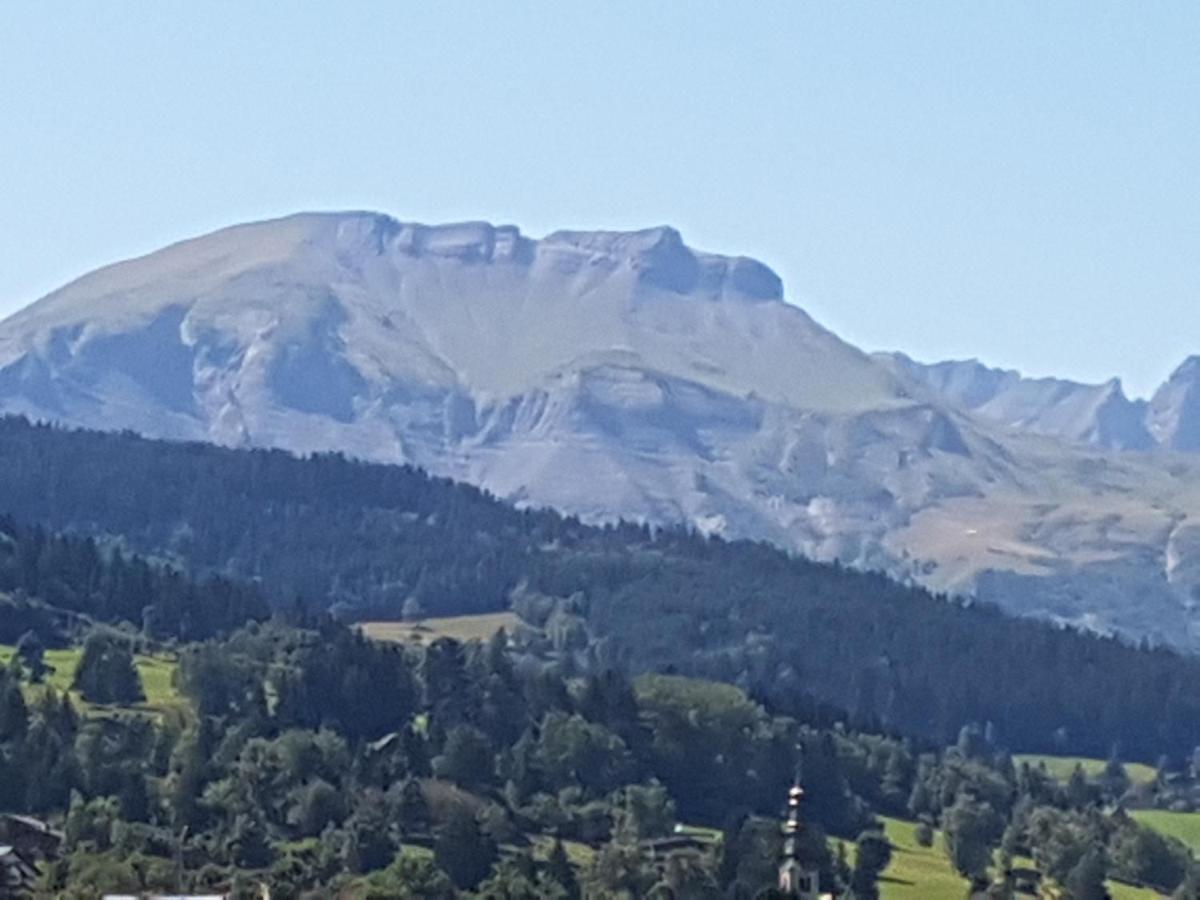 꽁블루 La Ferme Du Mont-Blanc B&B 외부 사진